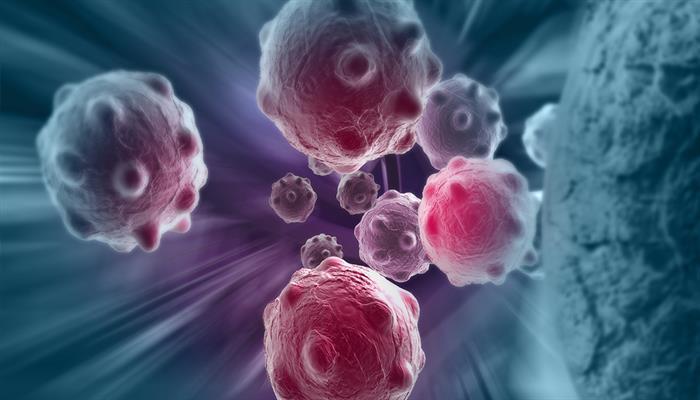 Identifizierung eines Ferroptose-Suppressor-Proteins ermöglicht einen neuen Ansatz zur Behandlung von Krebs